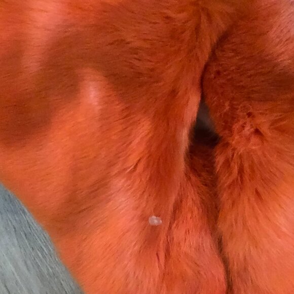 🔥 Juicy Coutour| Pumpkin Dreams Cap 🔥Petite - Picture 7 of 7